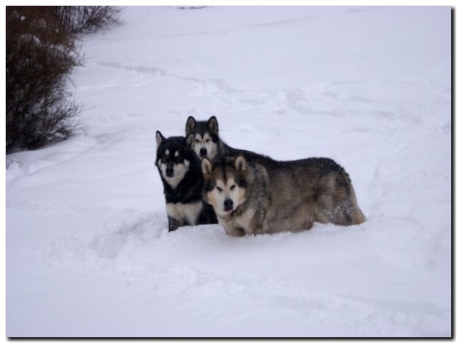 080 Februar 2010 206.jpg